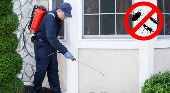 Bozyazı Akrep İlaçlama böcek ilaçlama ve haşere kontrolü — ilaclama-tr.com